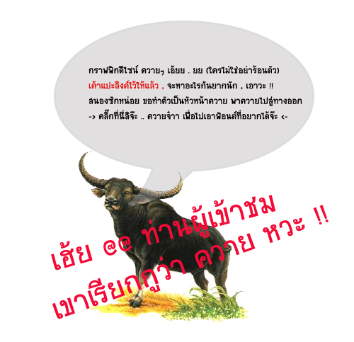 เฮ้ย ที่นี่ควายคลิ๊กโว้ยยย