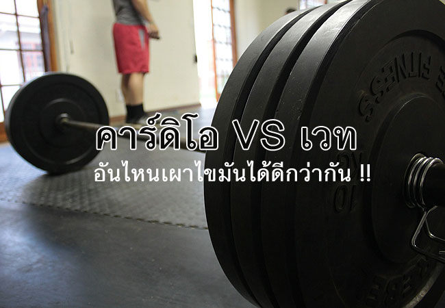 ลดน้ำหนักด้วยการเผาไขมันในเวลา 1 เดือนด้วยเวทเทรนนิ่ง
